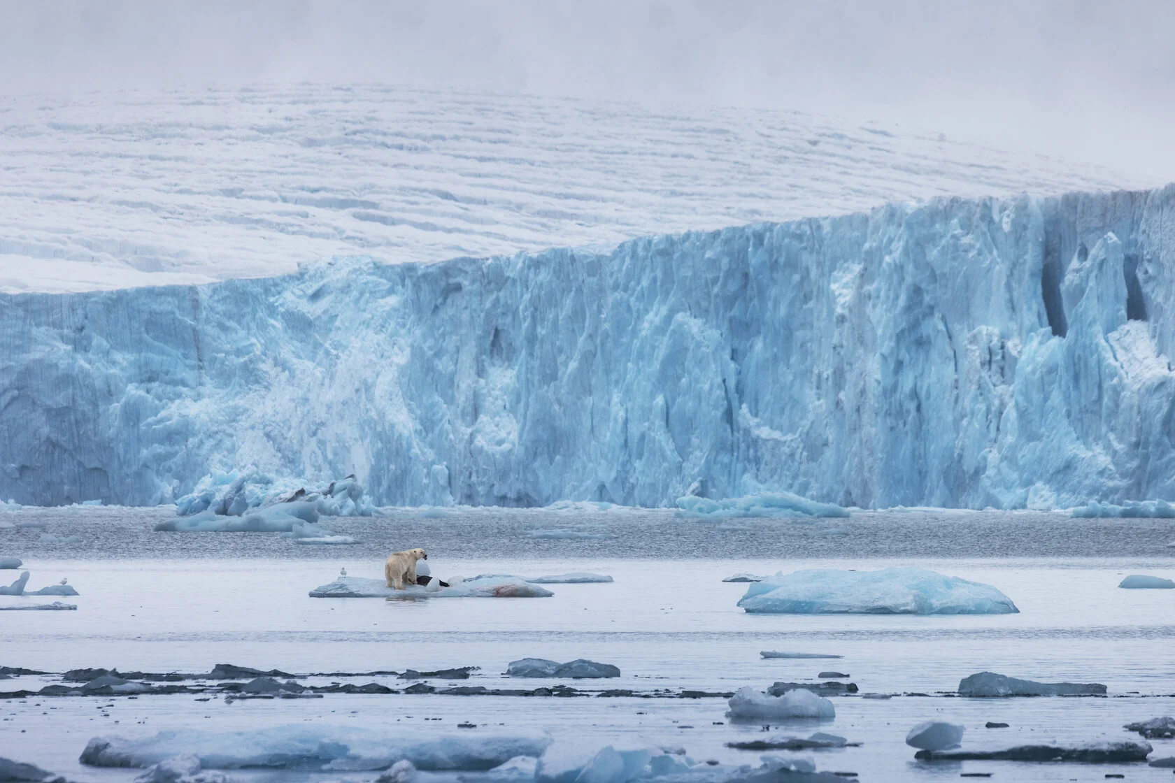 Sailing expediotion to Novaya Zemlya — photo 3