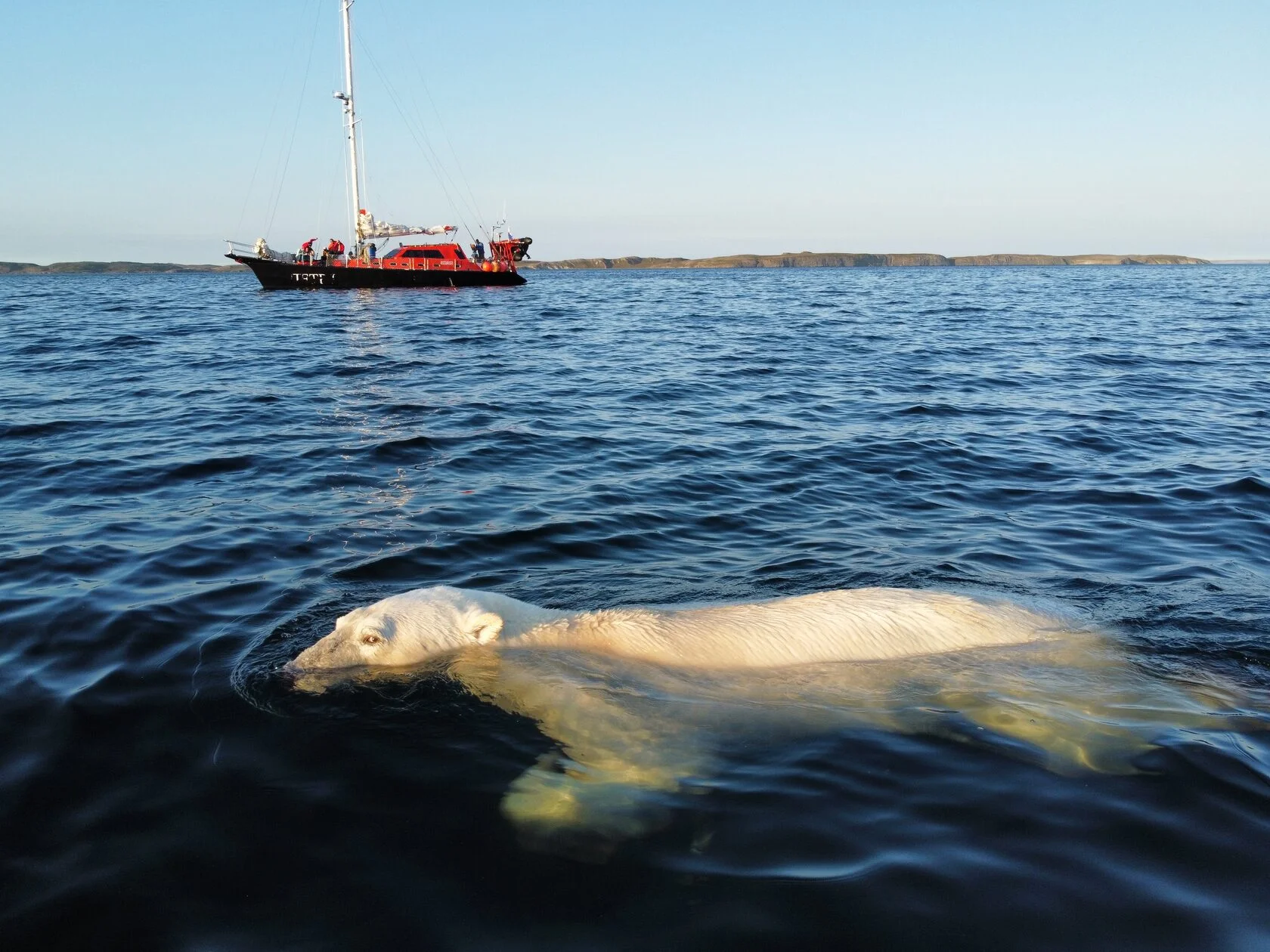 Sailing expediotion to Novaya Zemlya — photo 5