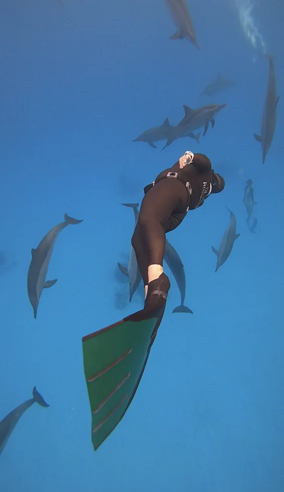 Freediving with Dolphins — photo 2