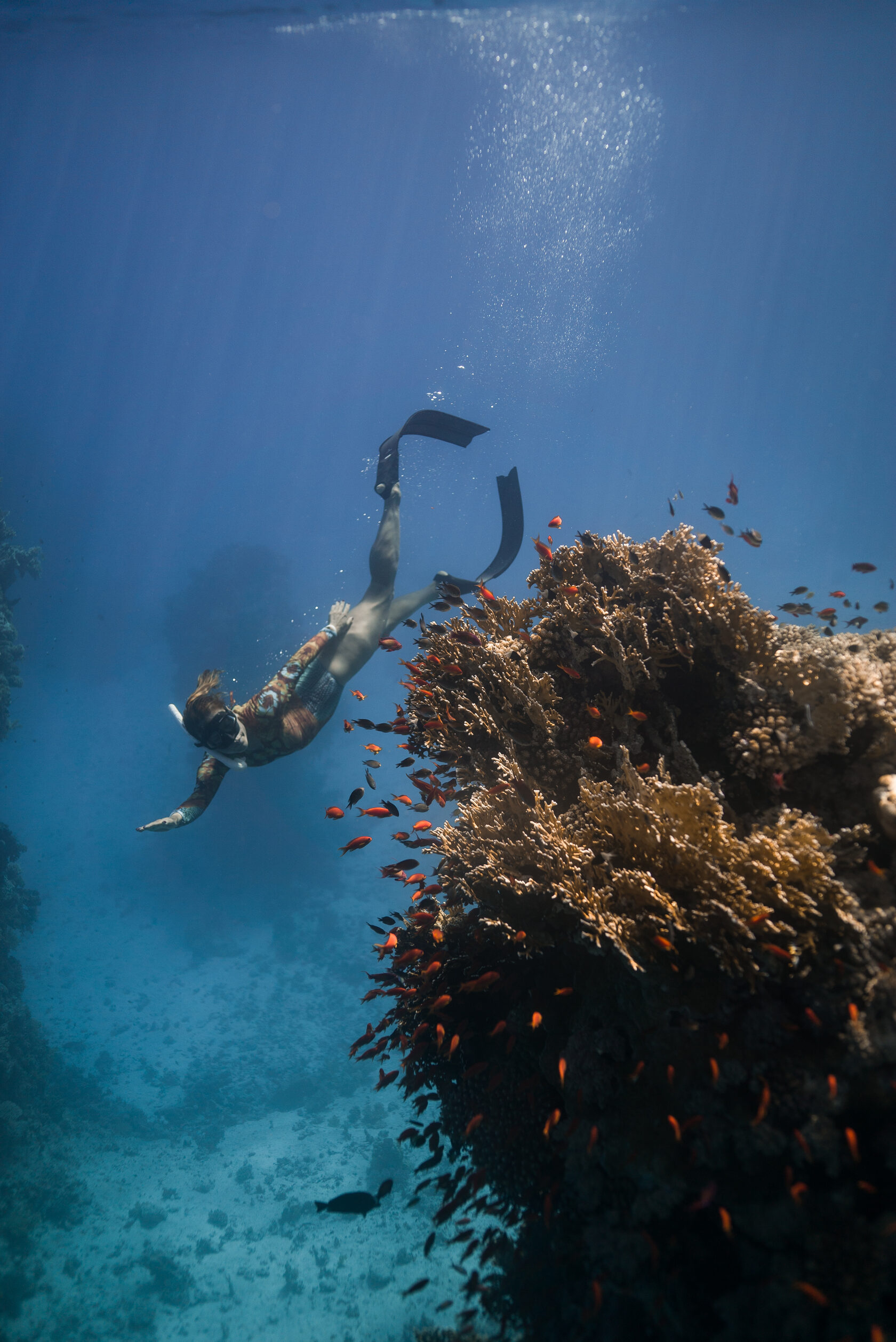 Freediving: Introduction to Depth — photo 4