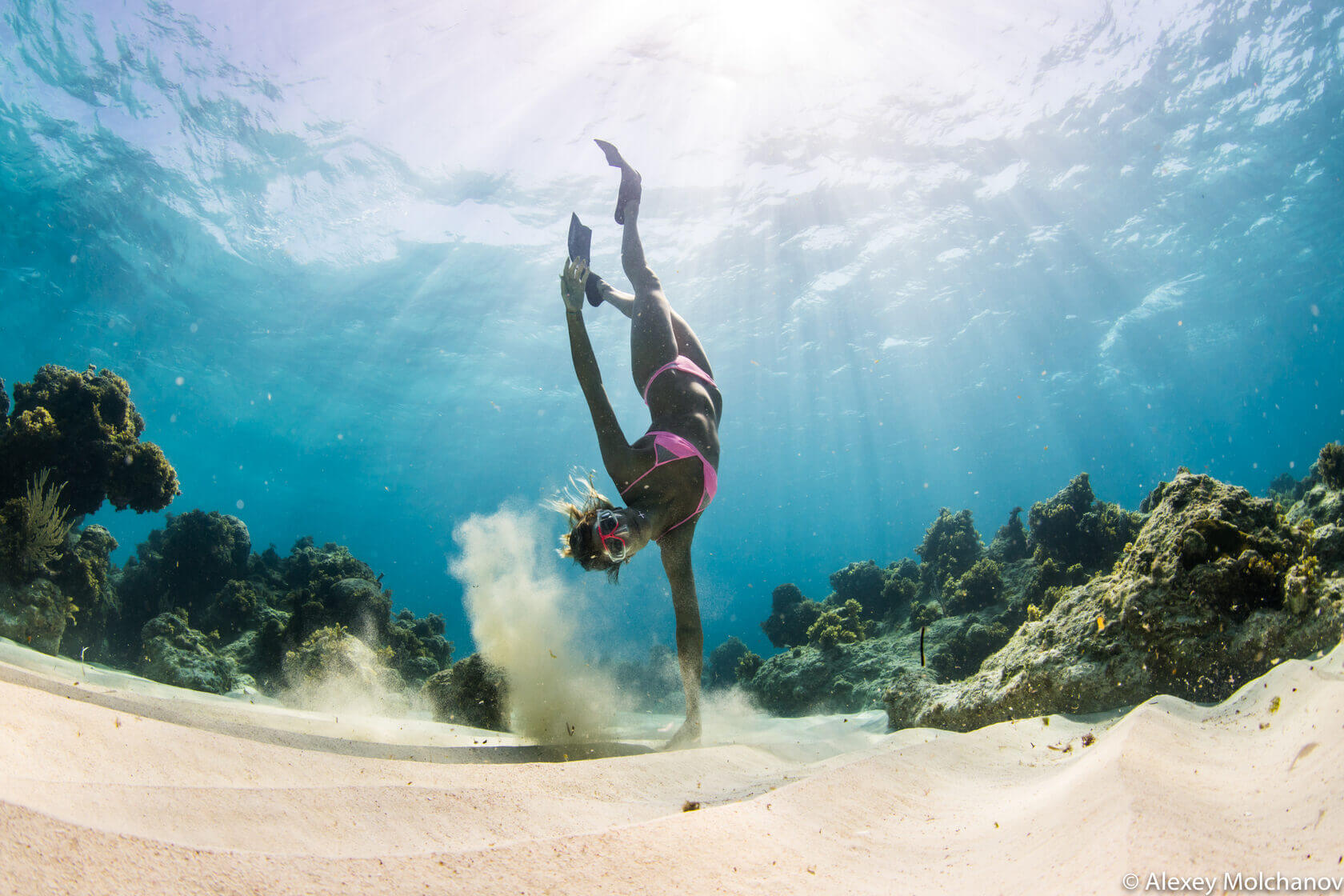 Explore the Underwater Paradise