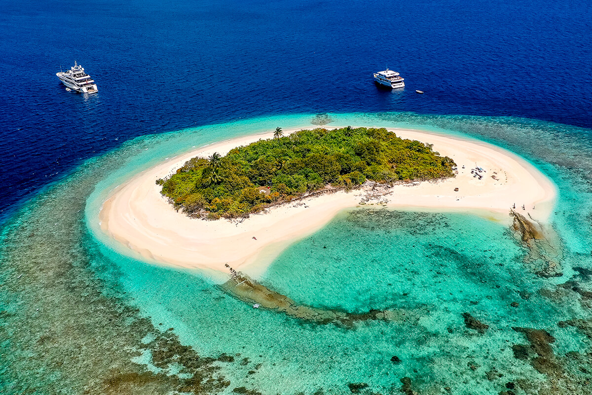 Explore the Underwater Paradise — photo 3