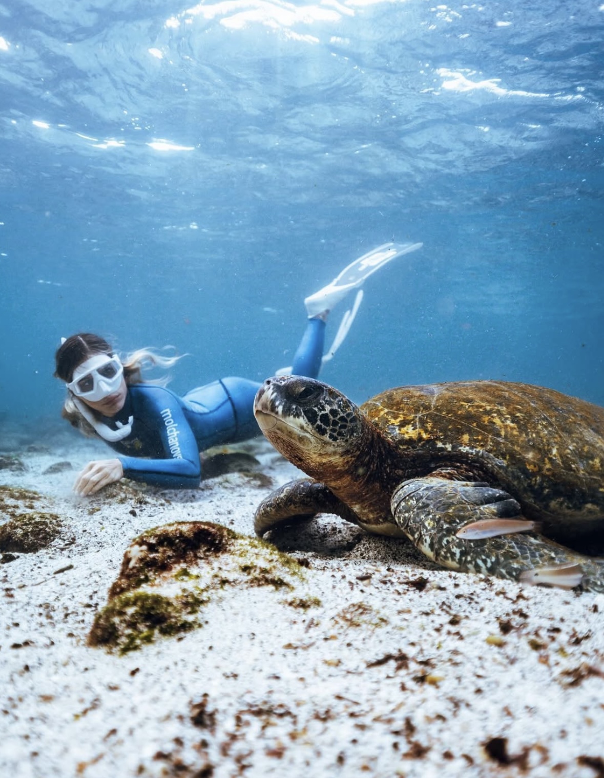 Galapagos freediving expedition