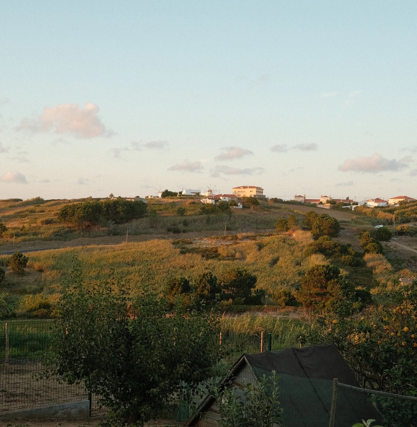 The longboard camp. Classic edition — photo 4